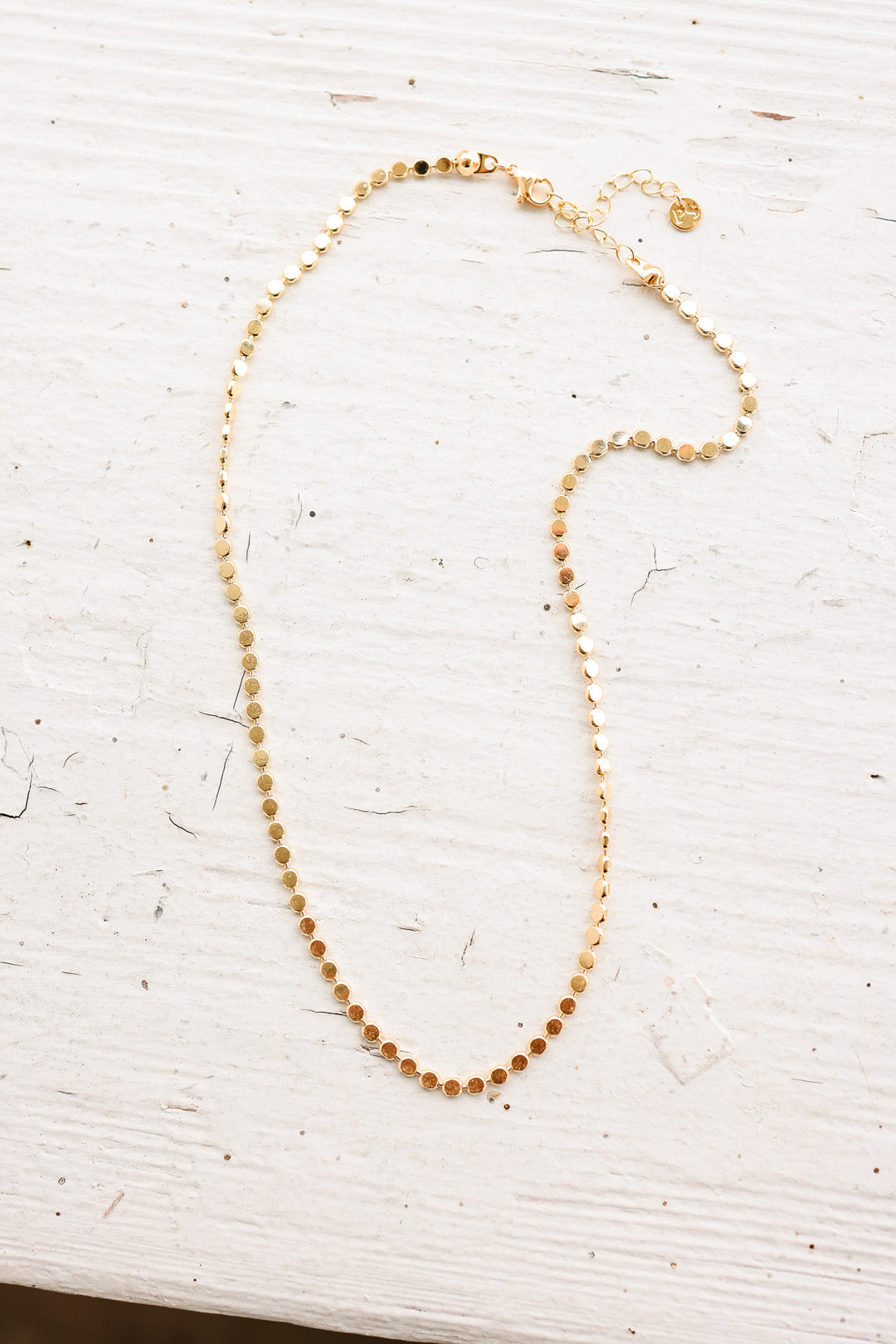 Dakota Disc Chain Necklace