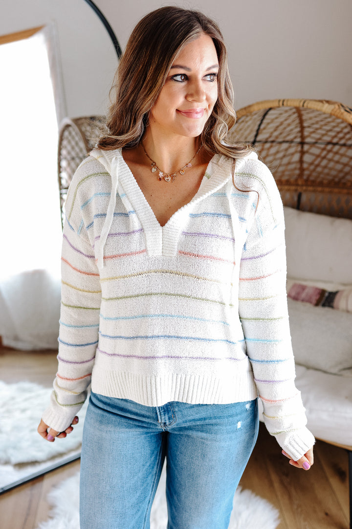Bristol Multi Striped Sweater Hoodie