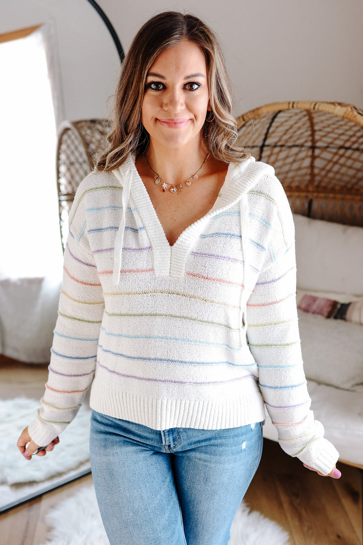 Bristol Multi Striped Sweater Hoodie
