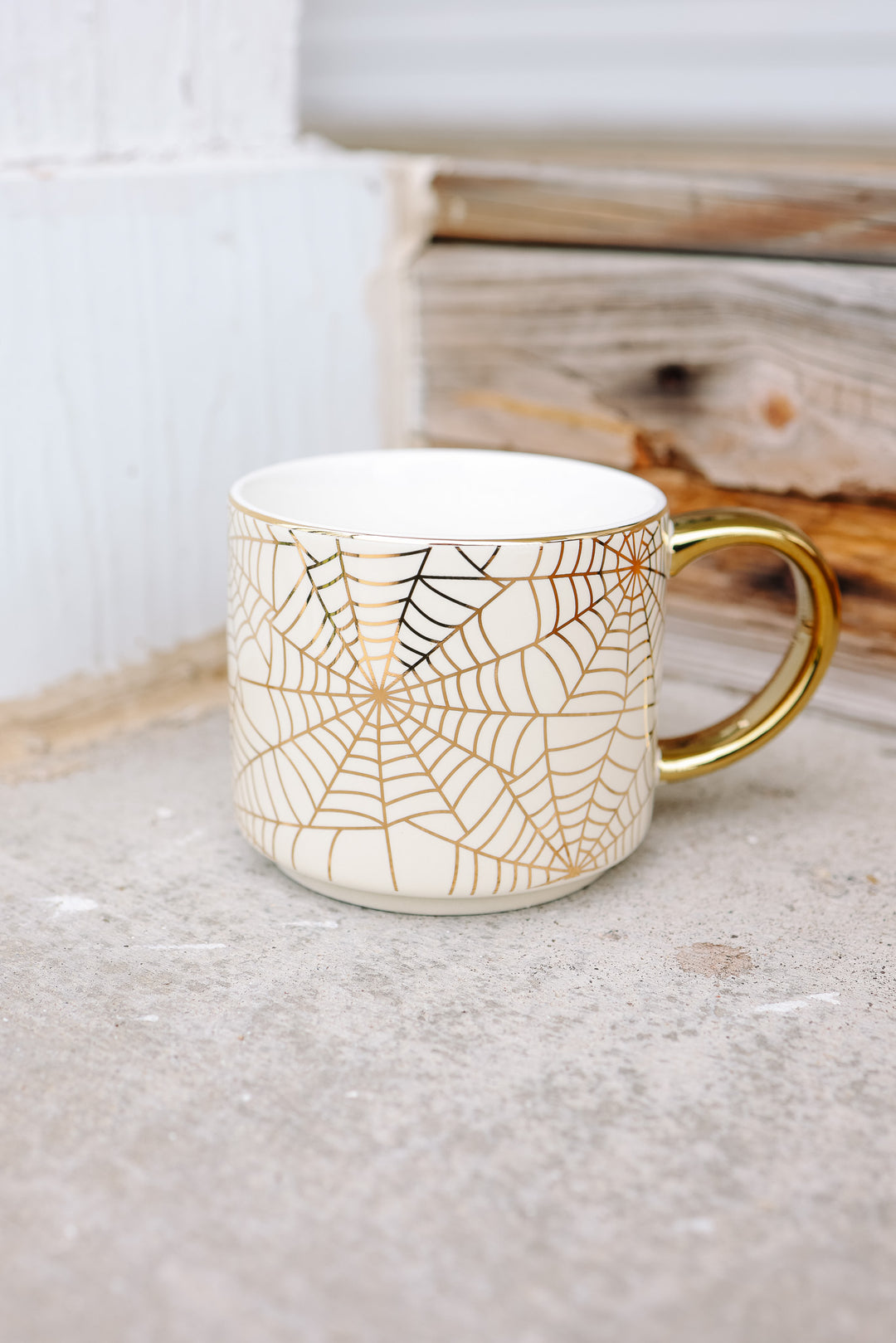 Spiderwebs Coffee Mug