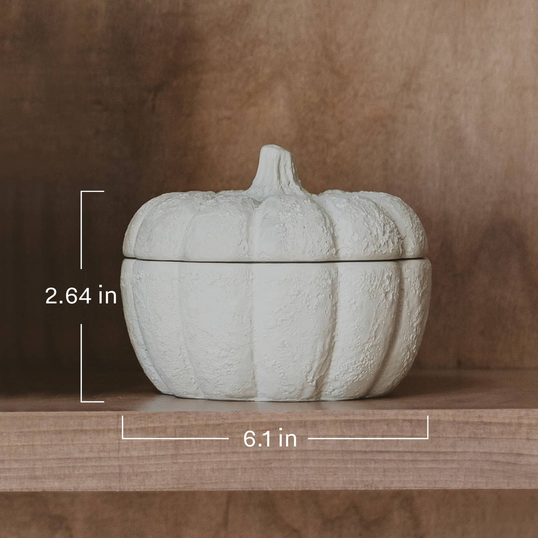 Pumpkin Jar Soy Candle 13.5 oz - Cashmere and Vanilla
