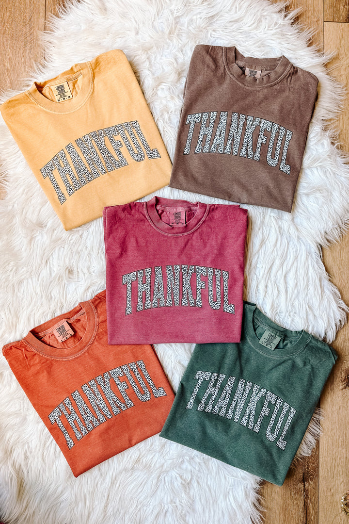 Leopard Thankful Graphic Tee - Multiple Colors