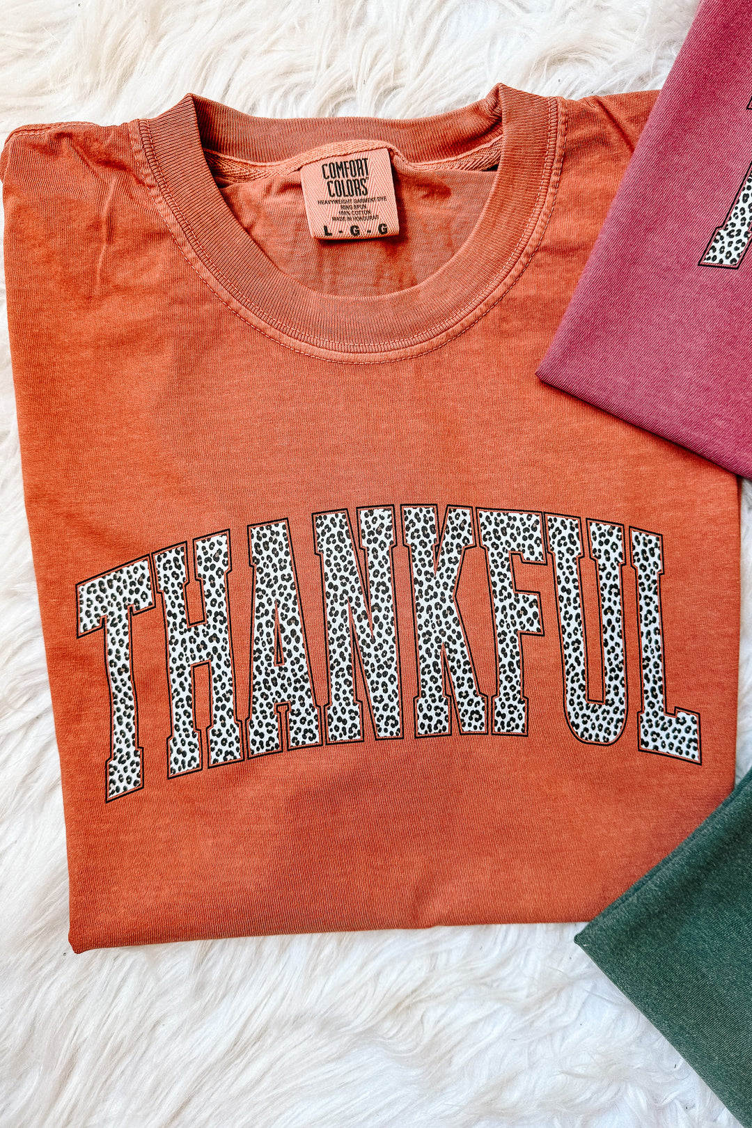 Leopard Thankful Graphic Tee - Multiple Colors