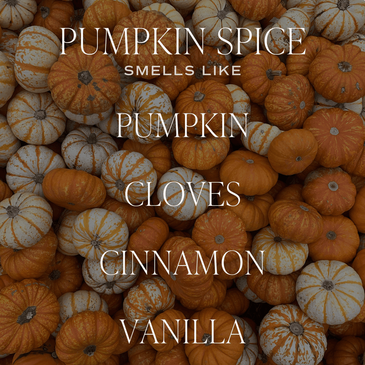 Pumpkin Spice 12 oz Candle